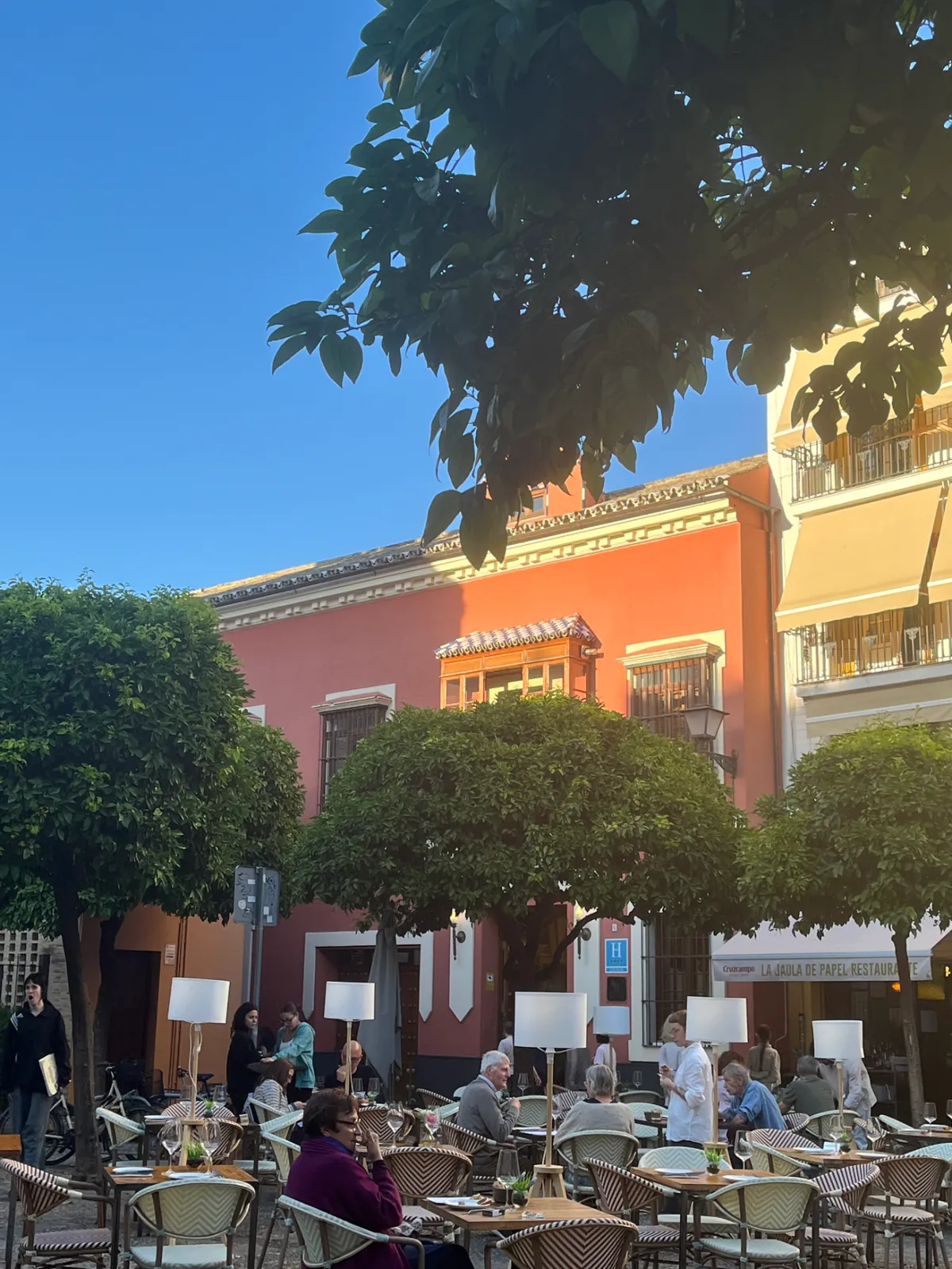 Tables under the orange trees on a Seville square at dusk